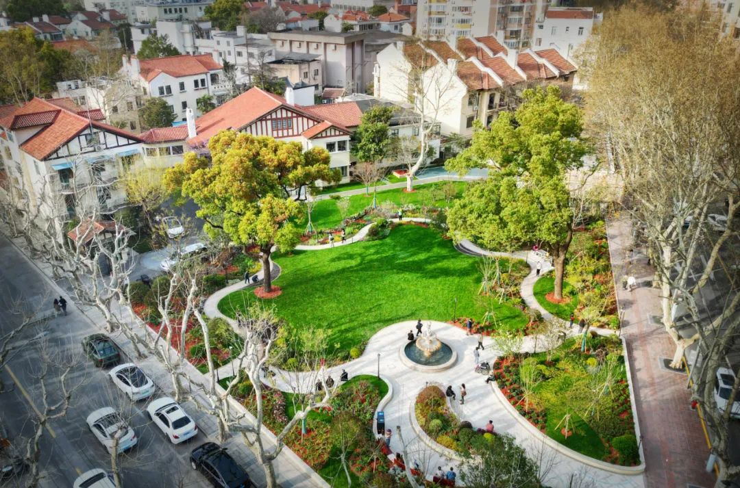 1130_164952_418.jpg p5.jpg