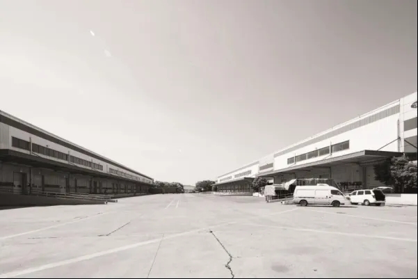 0325_101401_498.jpg P2.jpg