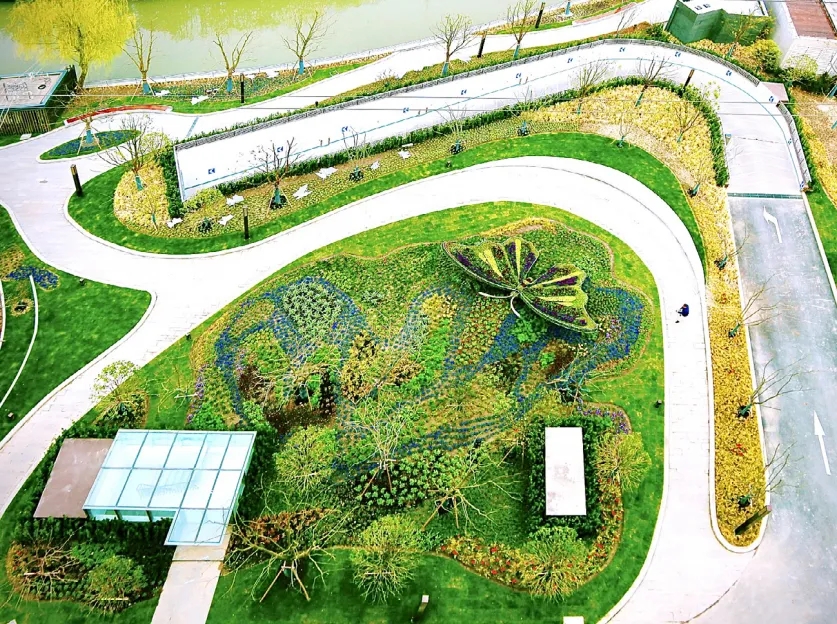 0619_141023_407.jpg p7.jpg