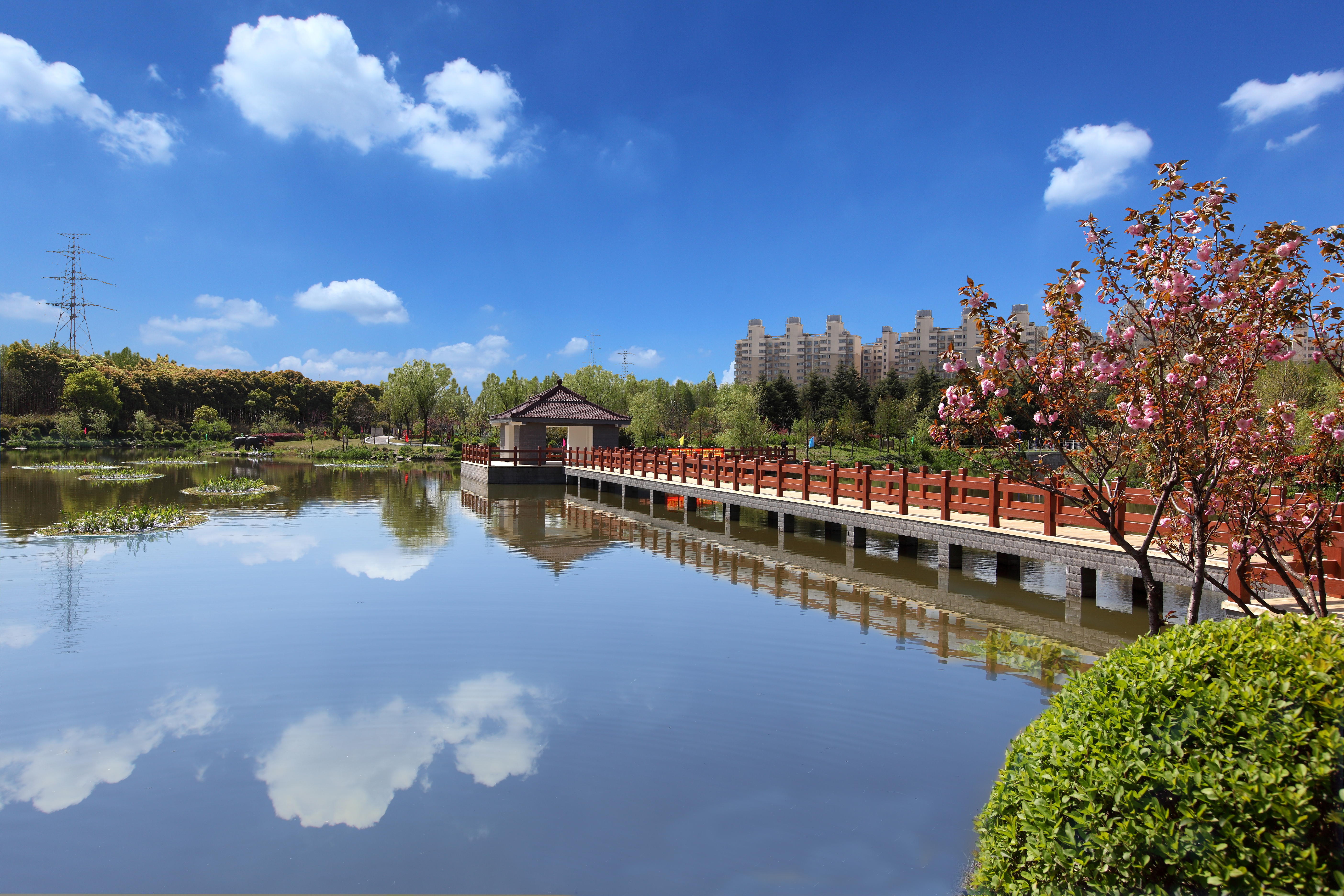 1010_172212_791.jpg 6f1a5c2e06aea03a096c755ec370857.jpg