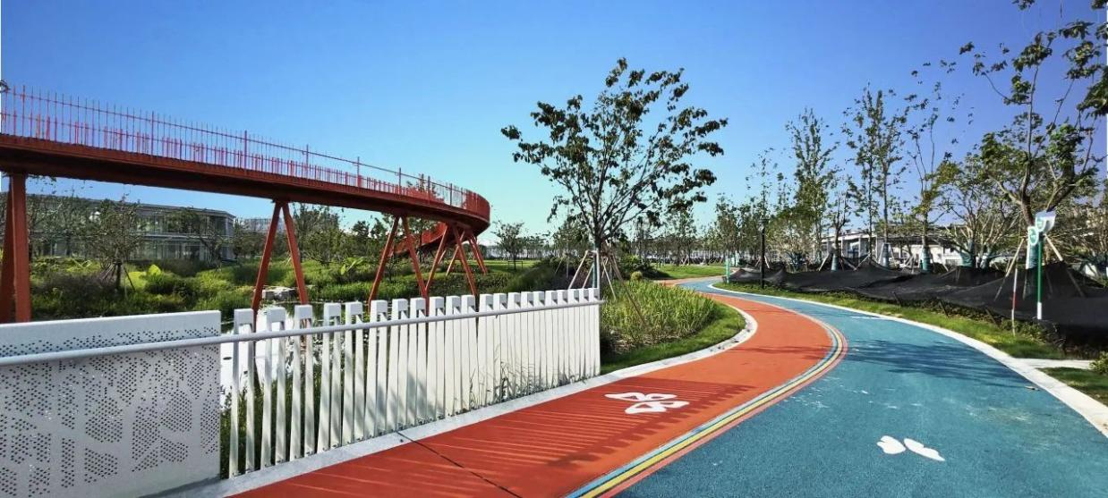 普陀区人大常委会副主任杜娟带队调研无废城市建设工作