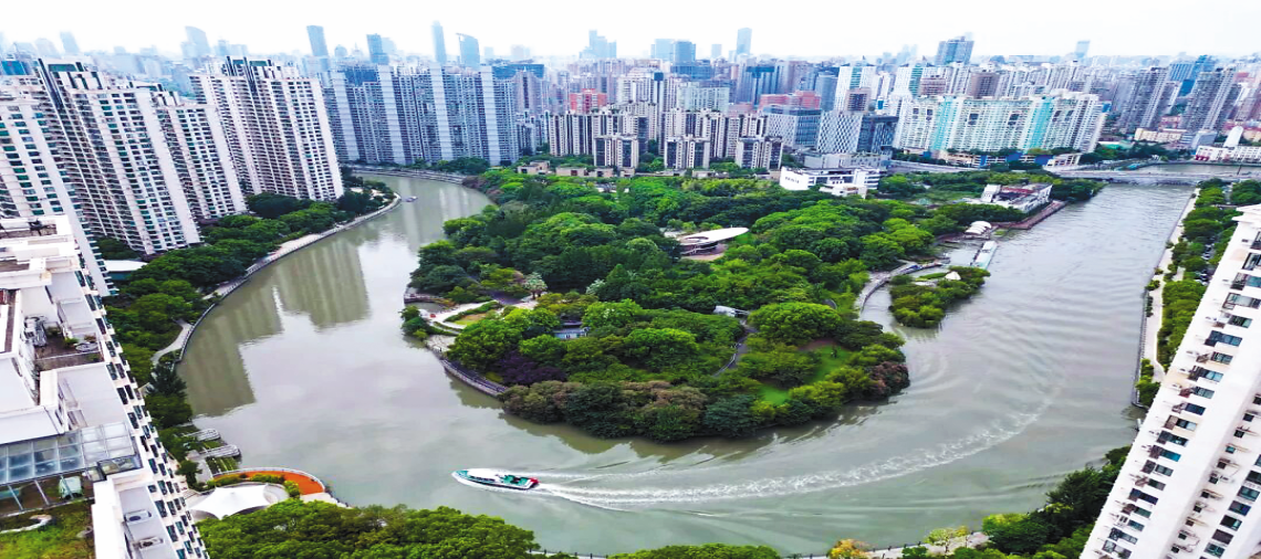 筑牢堡垒强根基,激活治理新动能 普陀区以高质量党建引领高质量发展