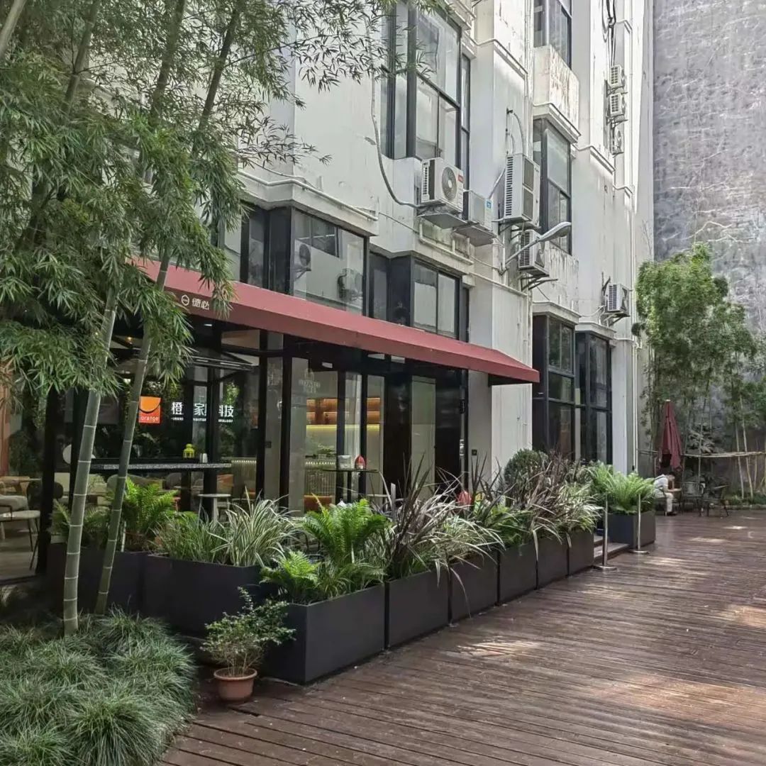 1009_081232_524.jpg 1009_081232_524.jpg