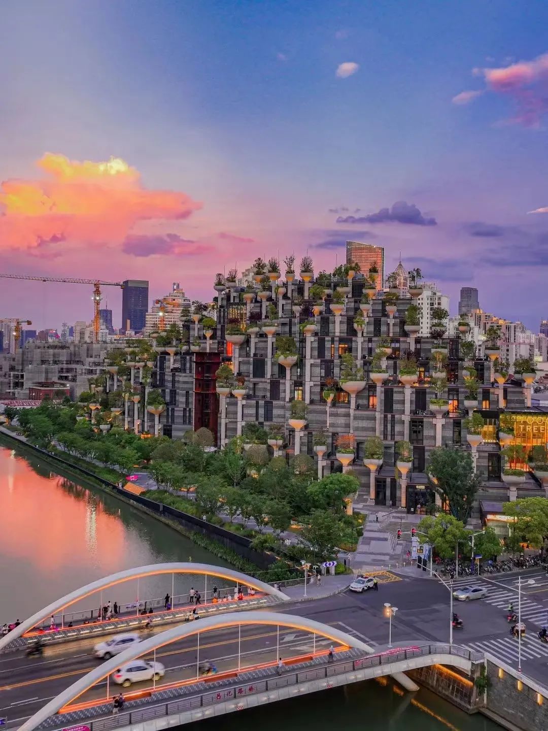 0312_085022_685.jpeg 0312_085022_685.jpeg