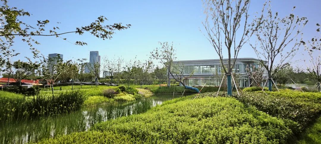 【探索】普陀首个近零碳公园，预计今年第四季度正式开放