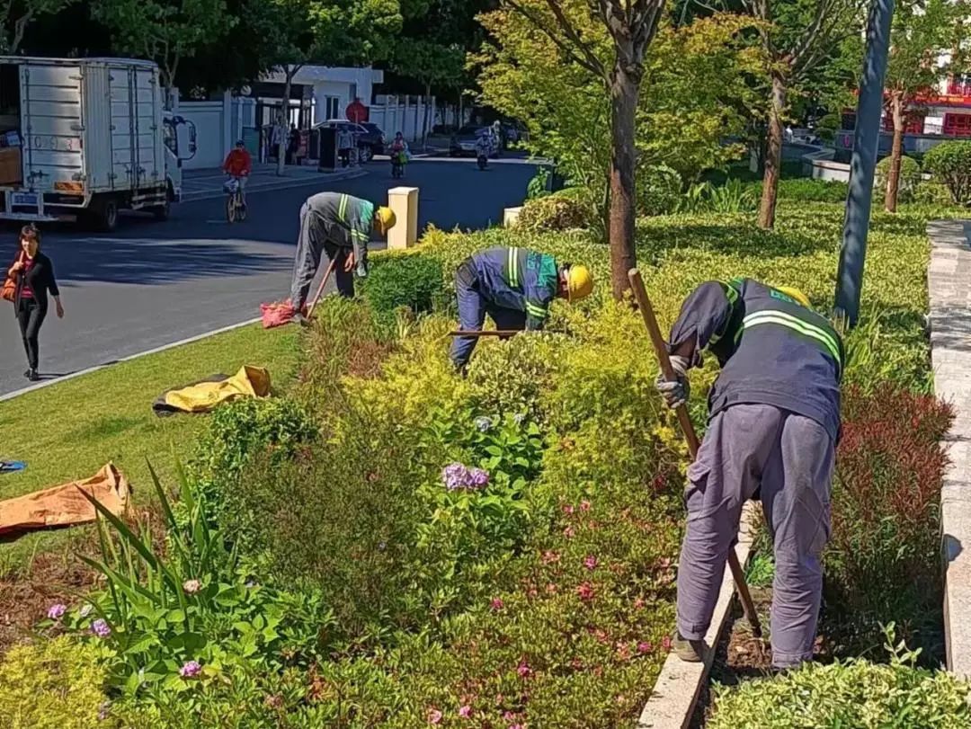 0612_132534_428.jpg 微信图片_20240612141518.jpg