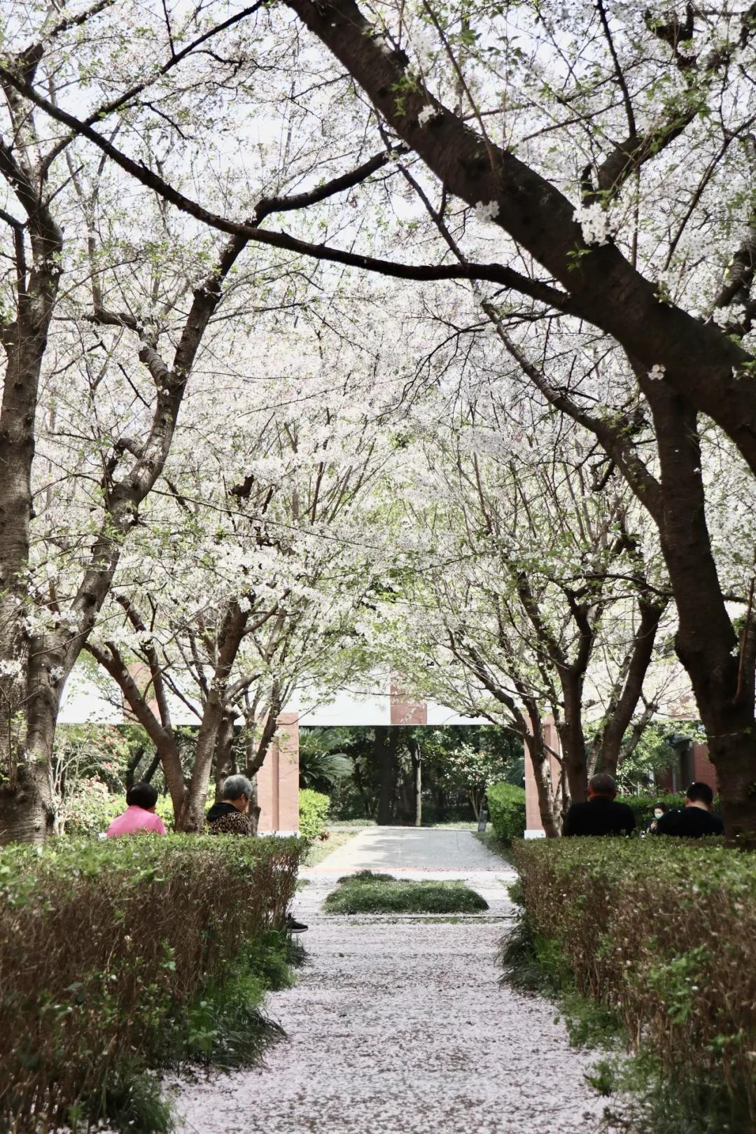 0506_083614_234.jpg 微信图片_20240506092559.jpg