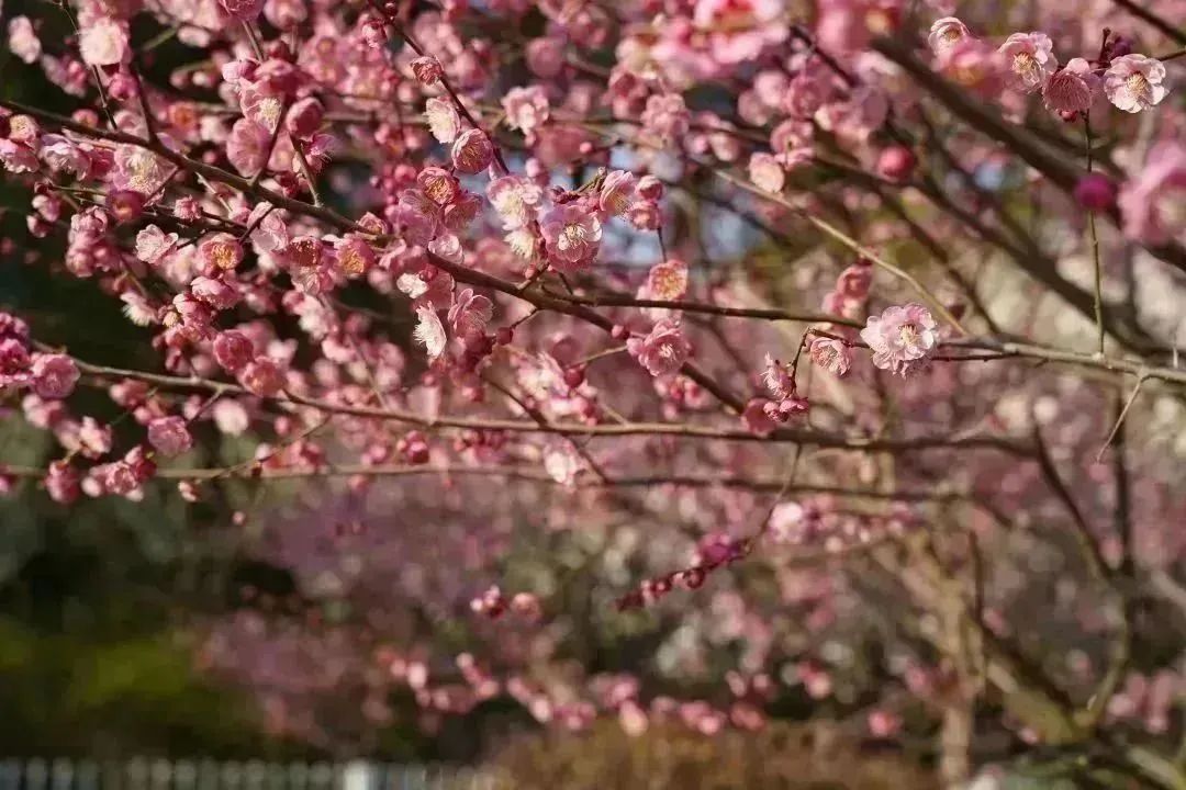 0227_132054_345.jpg 微信图片_20230227104508.jpg