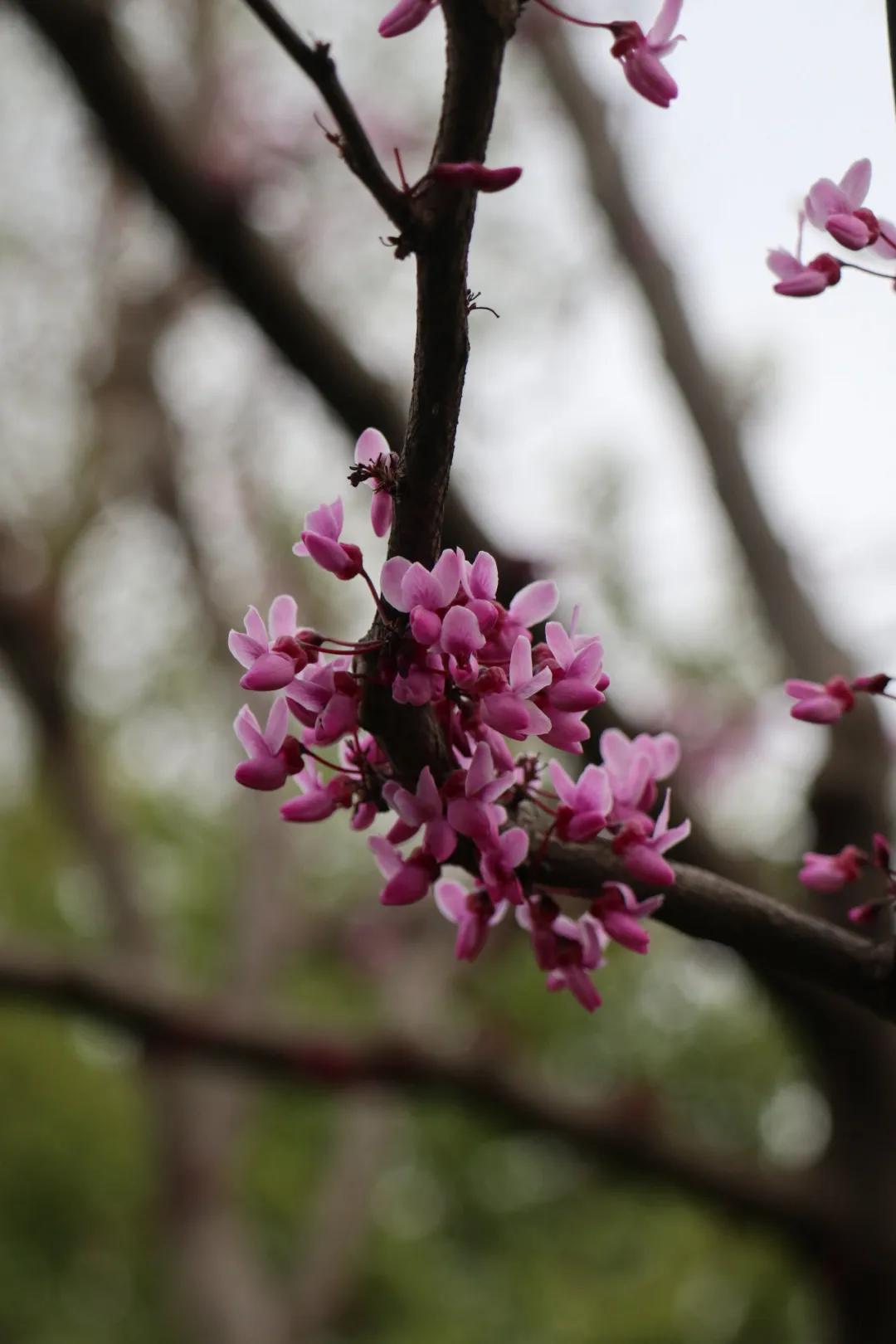 0506_083701_897.jpg 微信图片_20240506092640.jpg