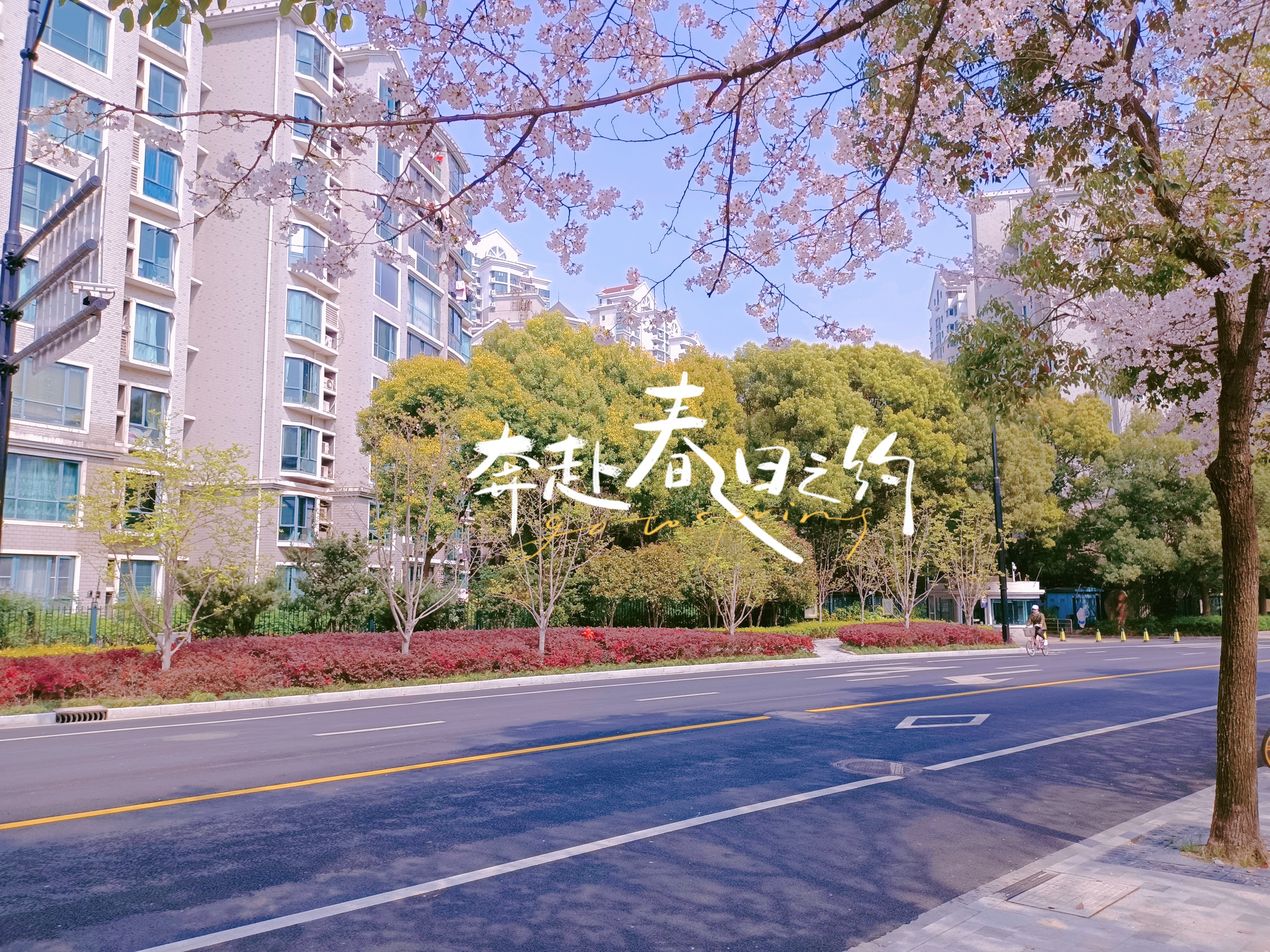 0331_113629_192.jpg 0331_113629_192.jpg