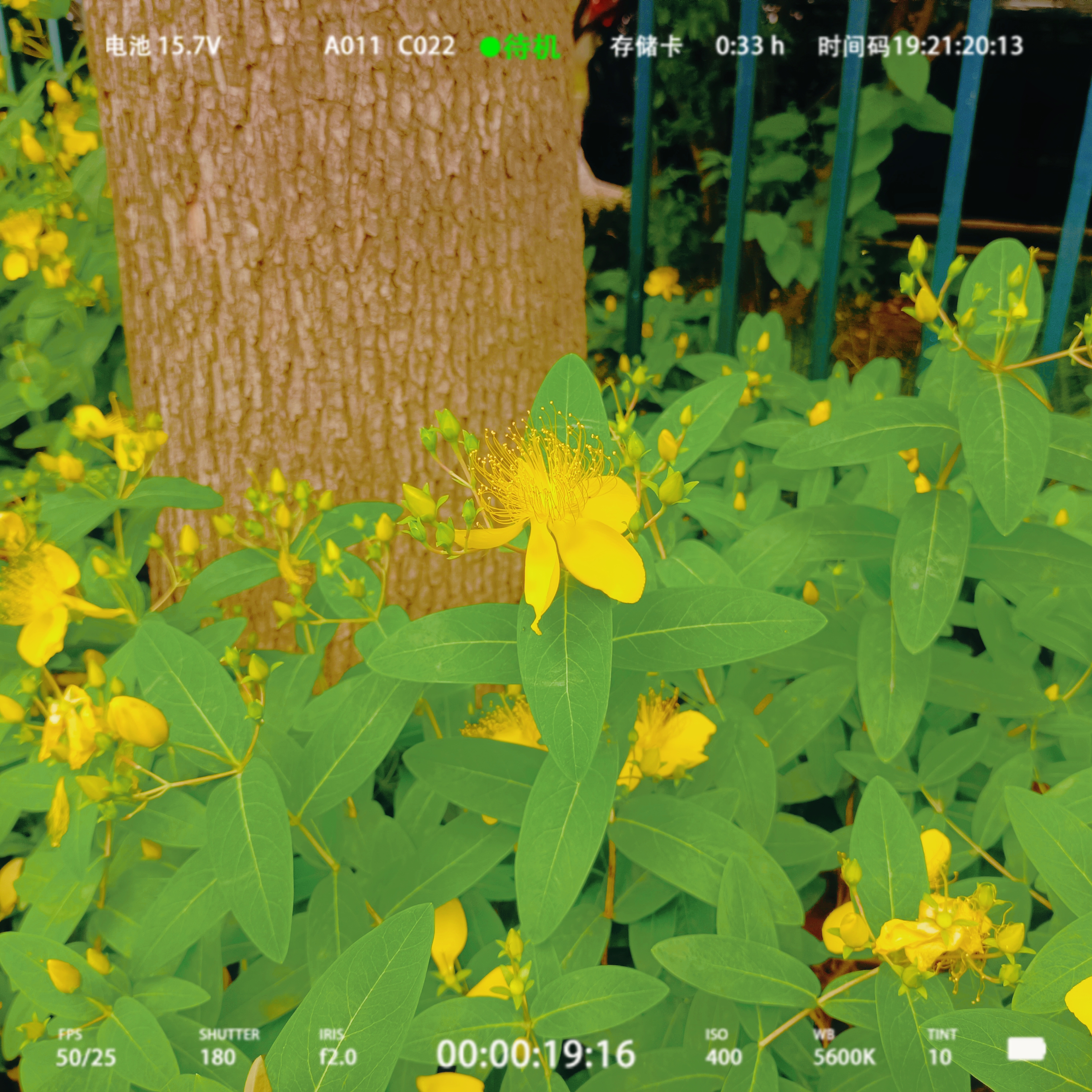 0630_141547_216.jpg 0630_141547_216.jpg