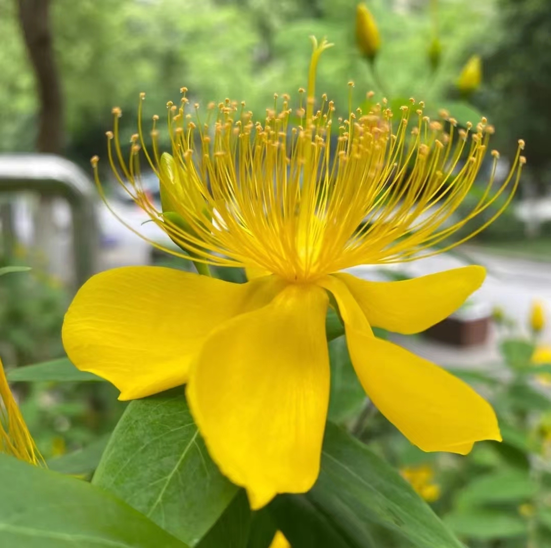 0630_141505_749.jpg 0630_141505_749.jpg