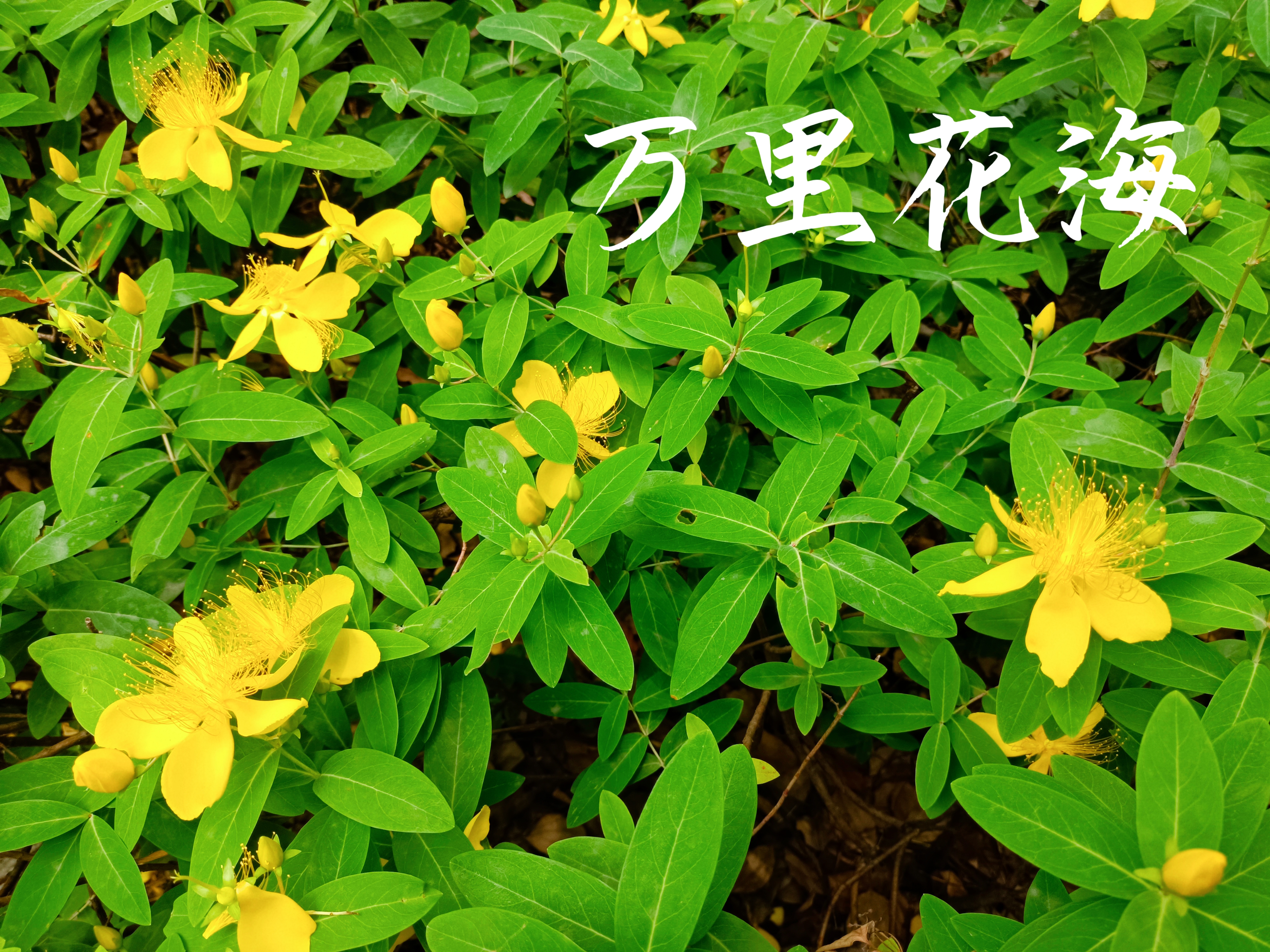 0630_141408_881.jpg 0630_141408_881.jpg