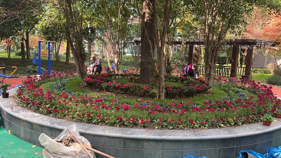 0105_125308_902.jpg 0105_125308_902.jpg