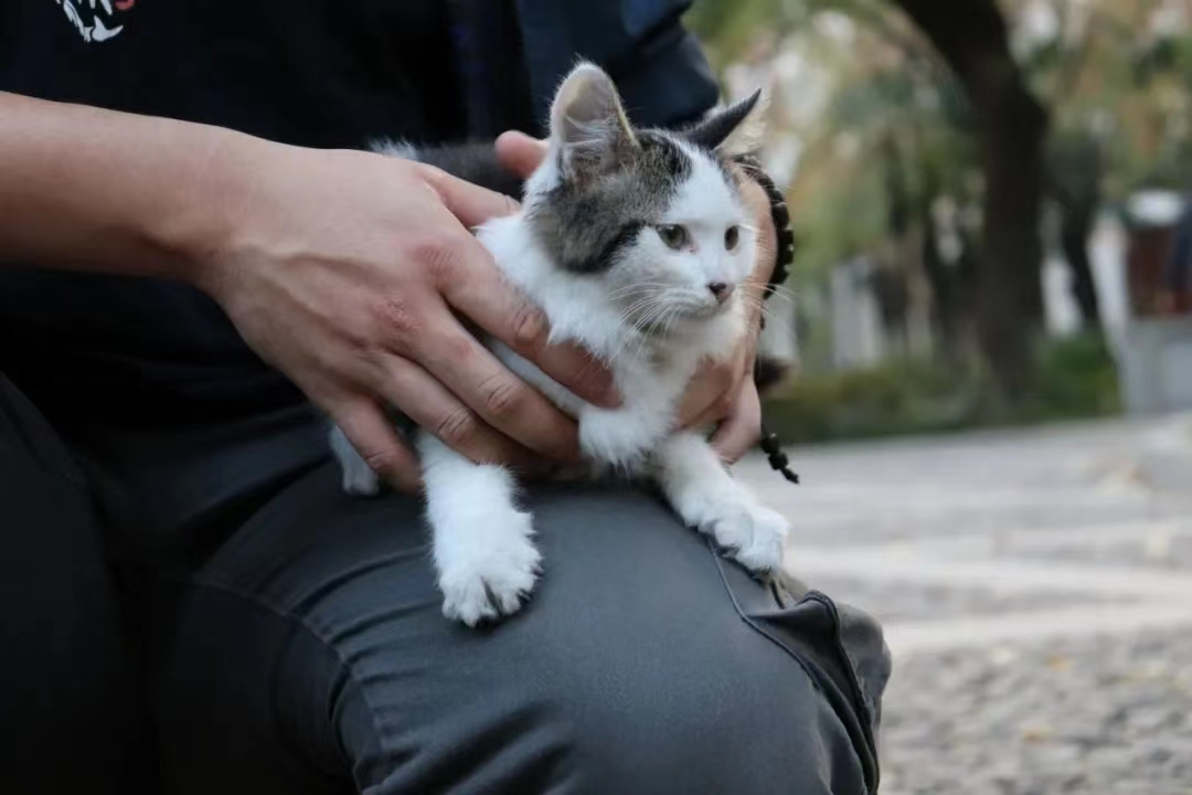 0524_162010_813.png 0524_162010_813.png