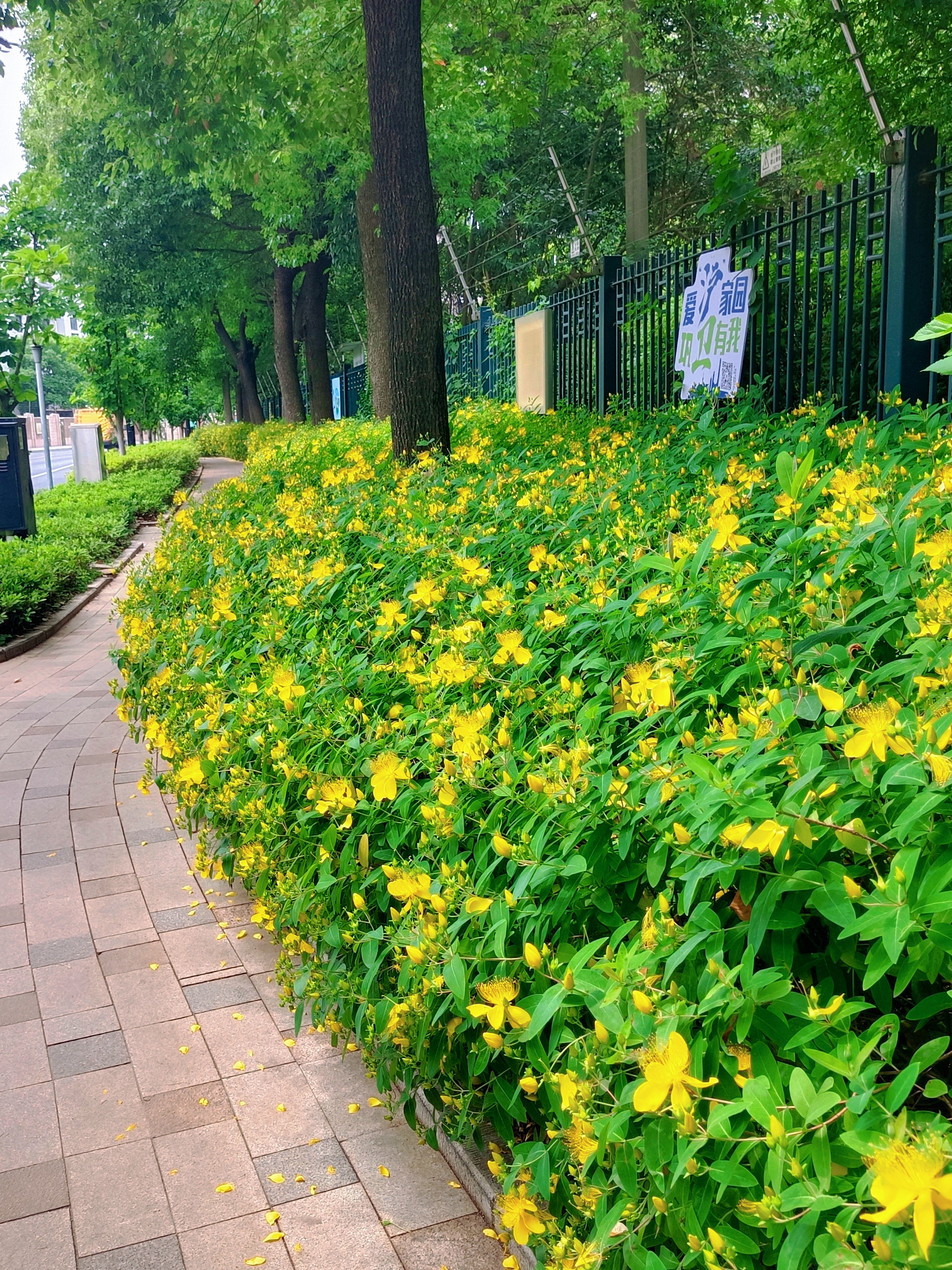 0630_141505_797.jpg 0630_141505_797.jpg