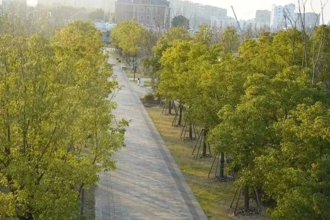 0227_132107_540.jpg 微信图片_20230227104516.jpg