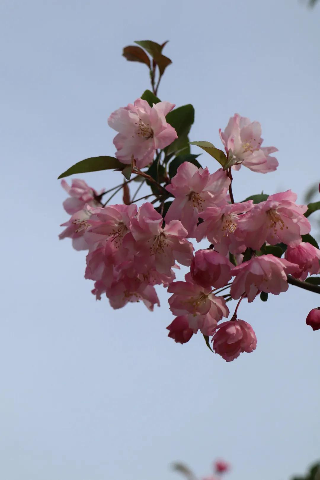 0506_083554_336.jpg 微信图片_20240506092551.jpg