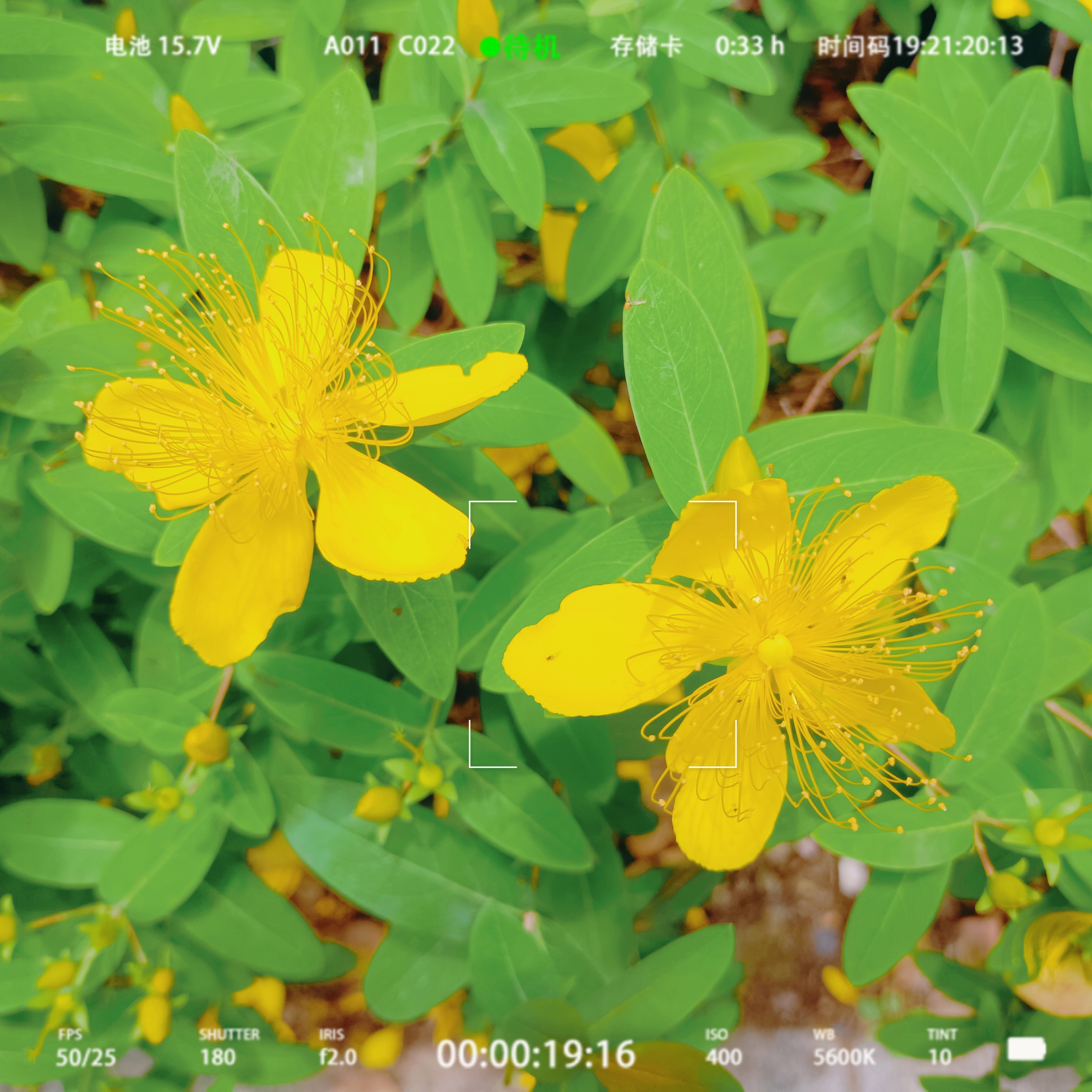 0630_141547_547.jpg 0630_141547_547.jpg