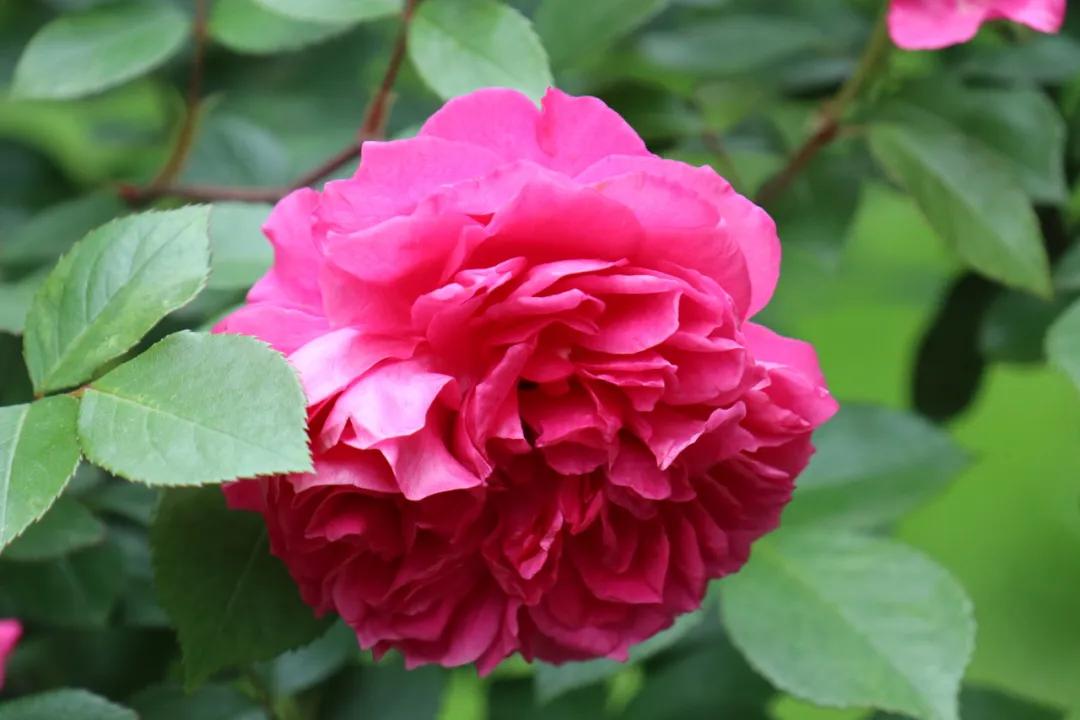 0506_083721_226.jpg 微信图片_20240506092648.jpg