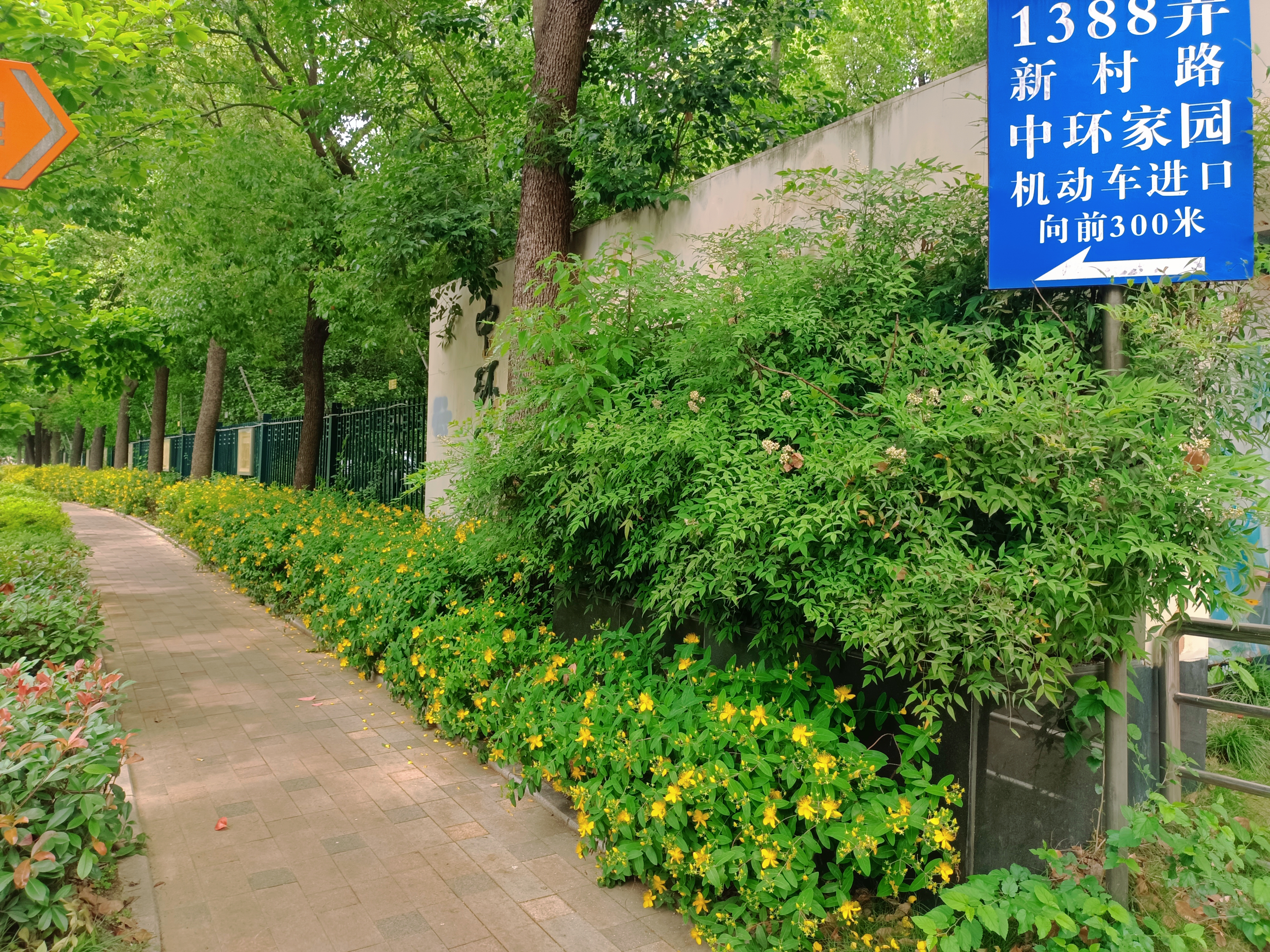 0630_141443_261.jpg 0630_141443_261.jpg