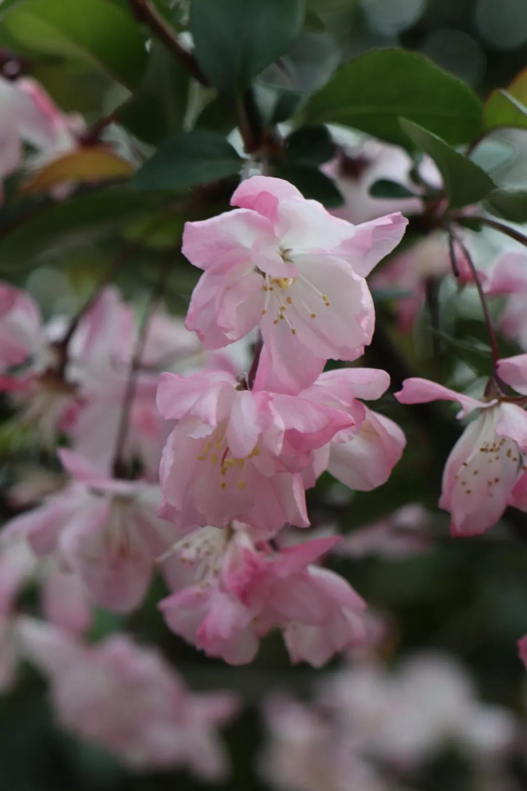 0506_083630_469.jpg 微信图片_20240506092615.jpg