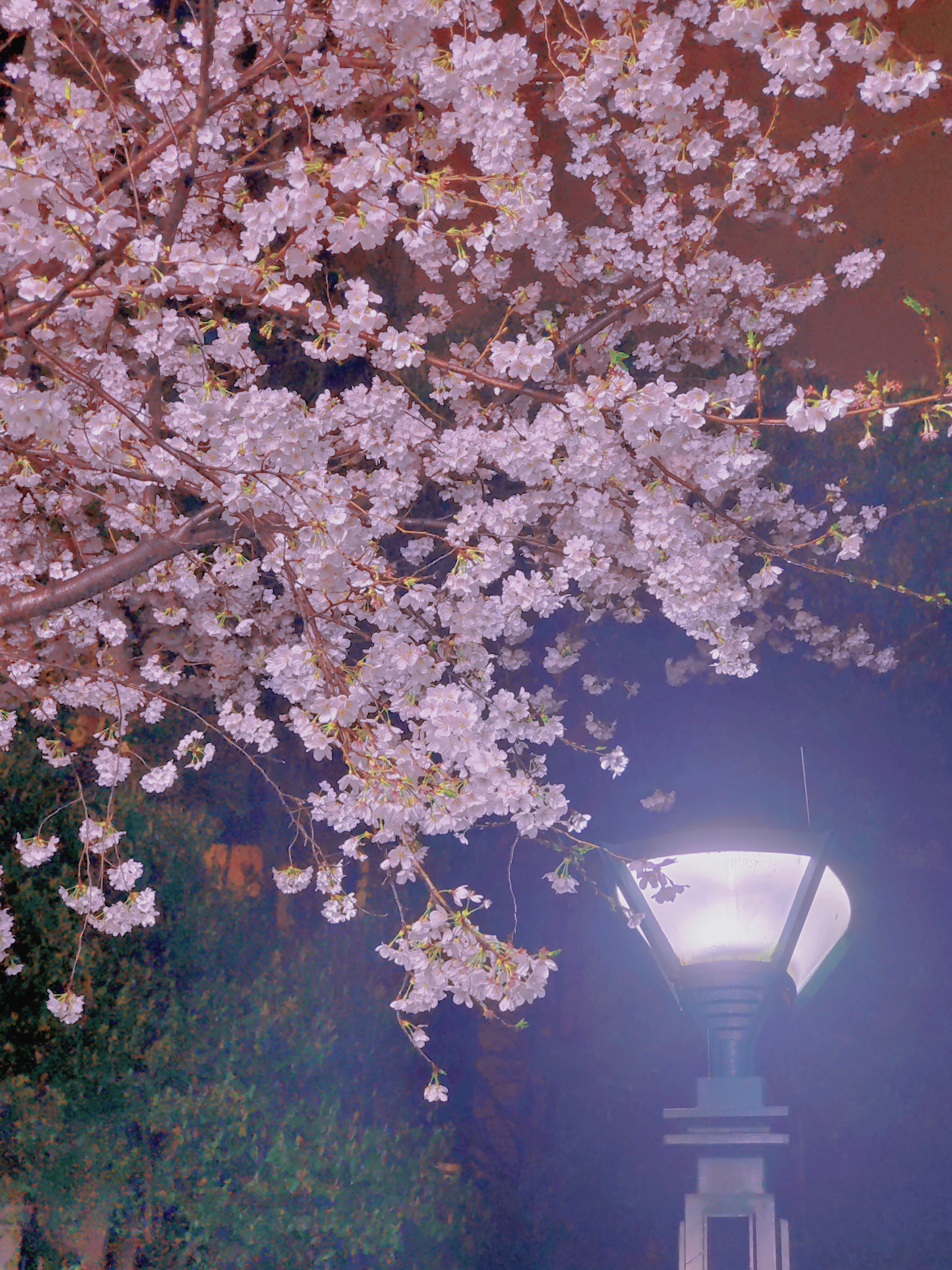 0331_113649_730.jpg 0331_113649_730.jpg