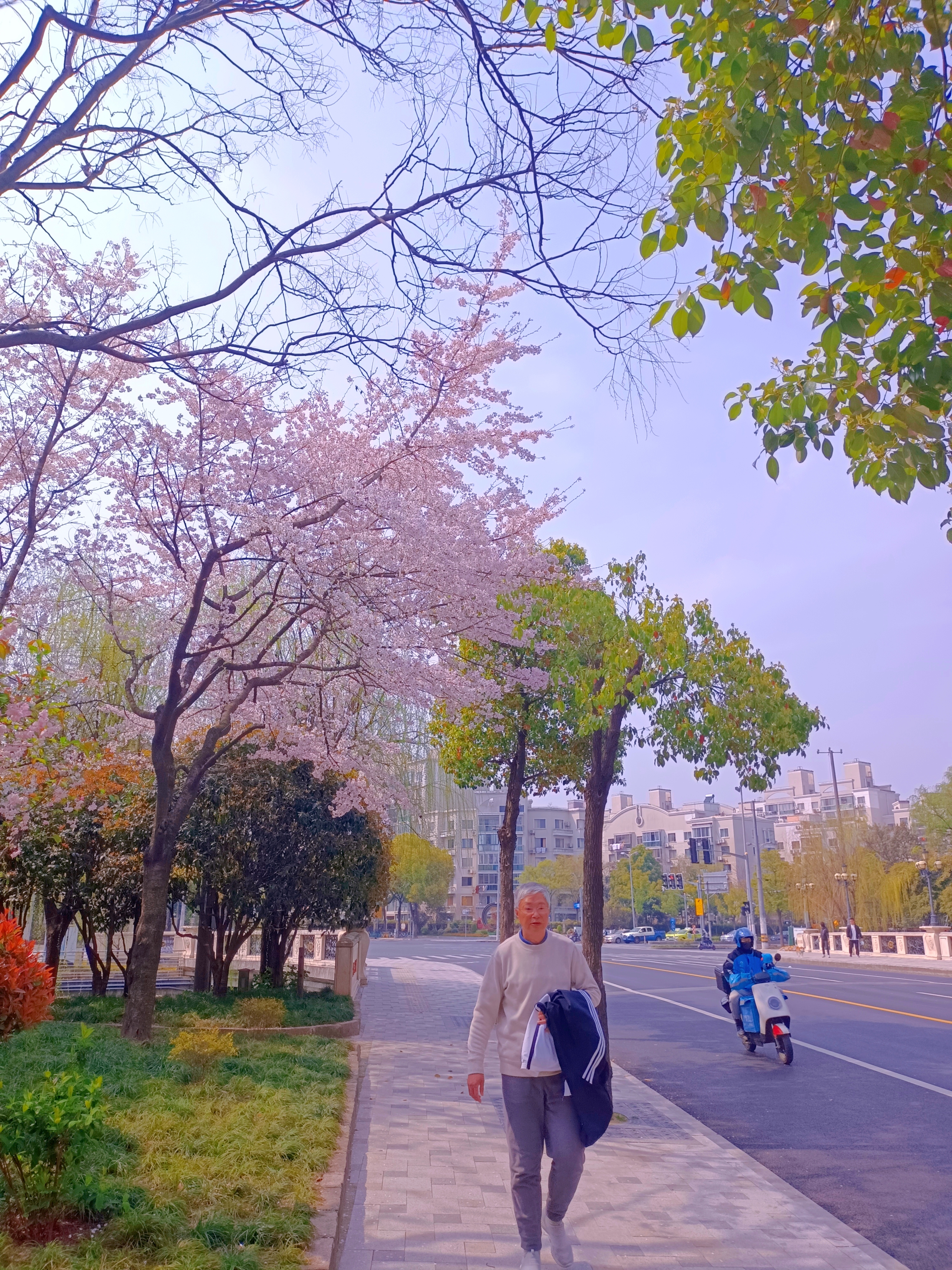 0331_113707_861.jpg 0331_113707_861.jpg