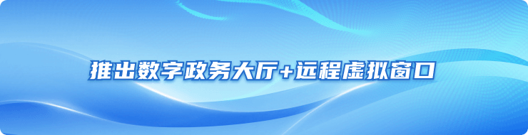 推出数字政务大厅+远程虚拟窗口