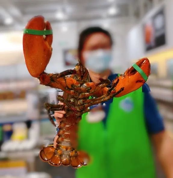 0516_083007_529.jpg 1.jpg