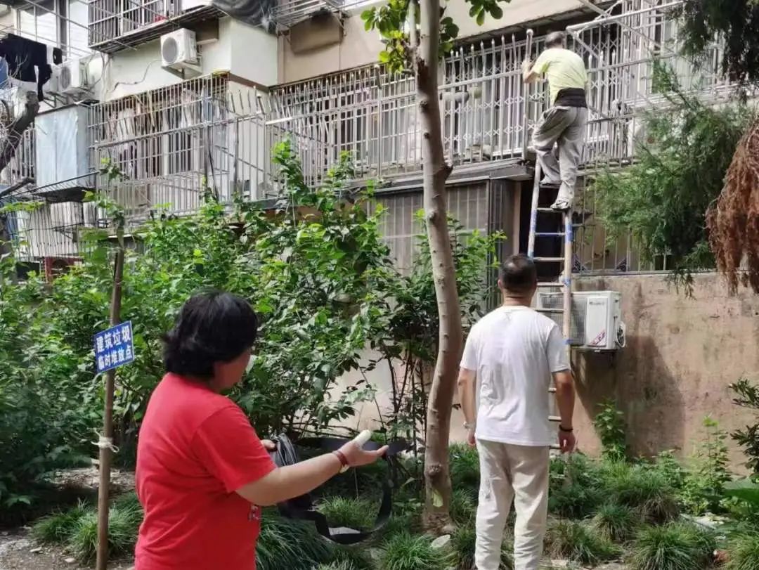 1215_090922_635.jpg 10.jpg