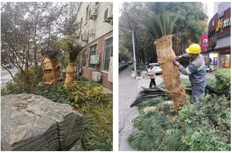 1219_085119_297.png 6.png