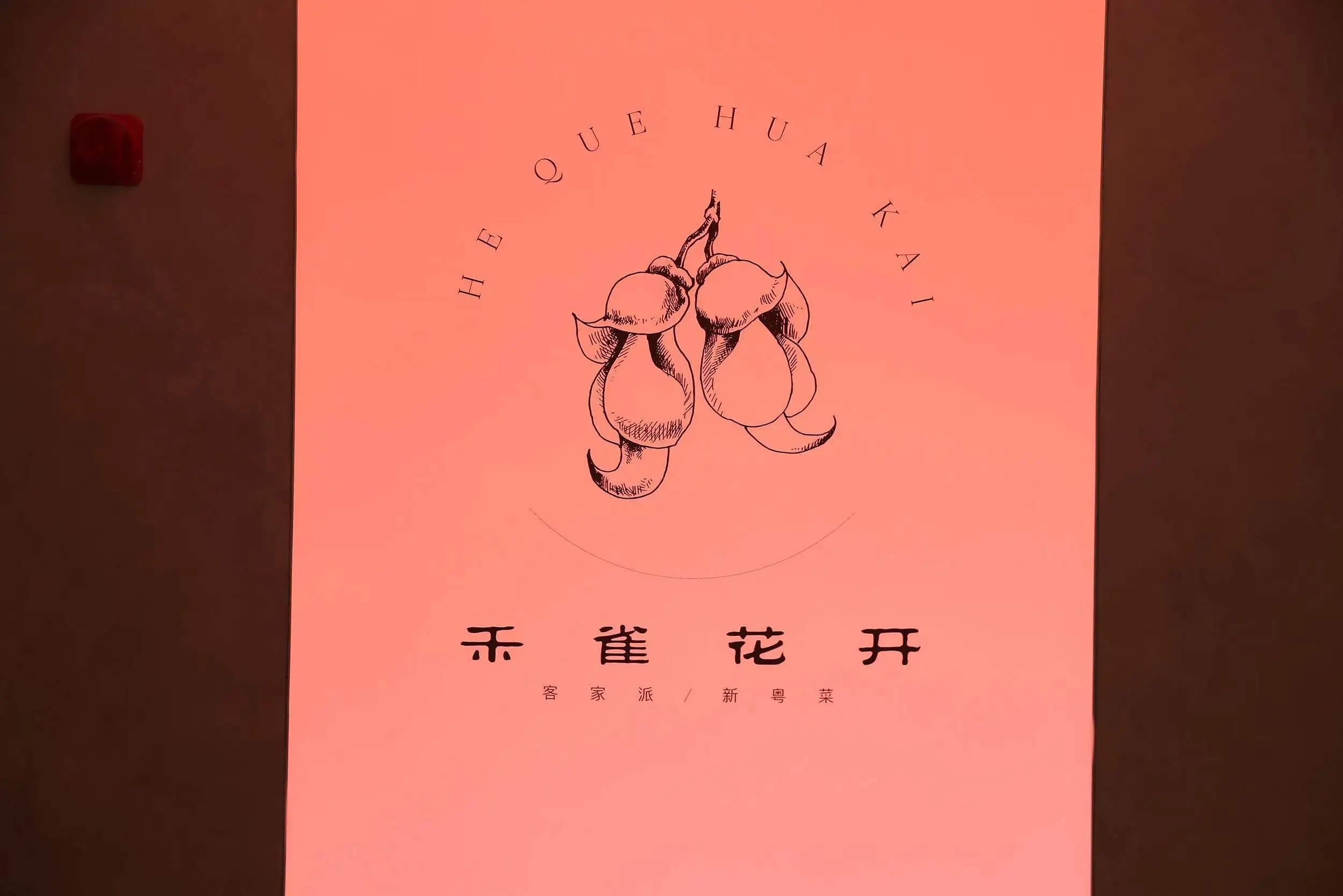 0218_134309_618.jpg 13.jpg