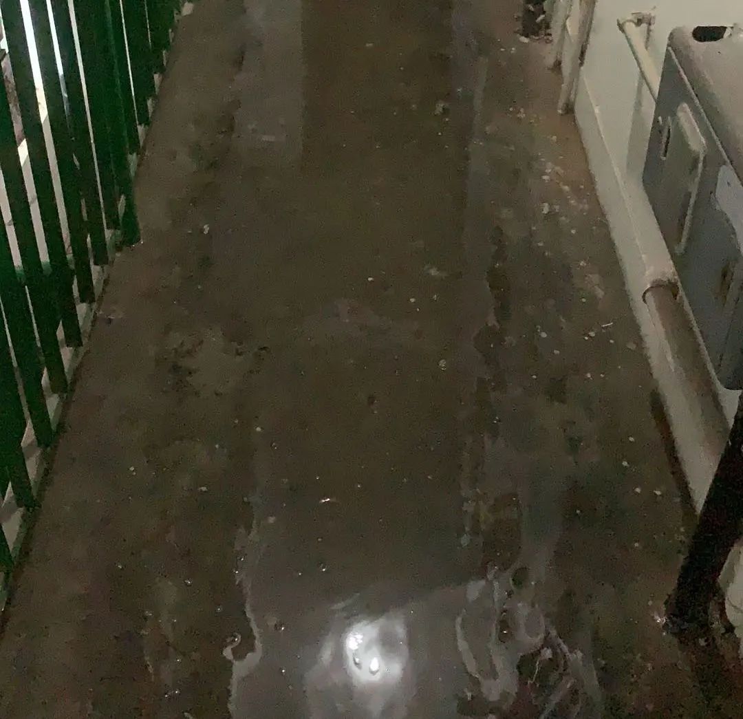 0717_131442_762.jpg 24.jpg