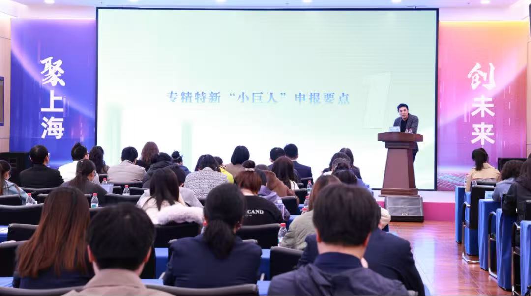 普陀区护航企业高质量成长，赋能企业走向专精特新