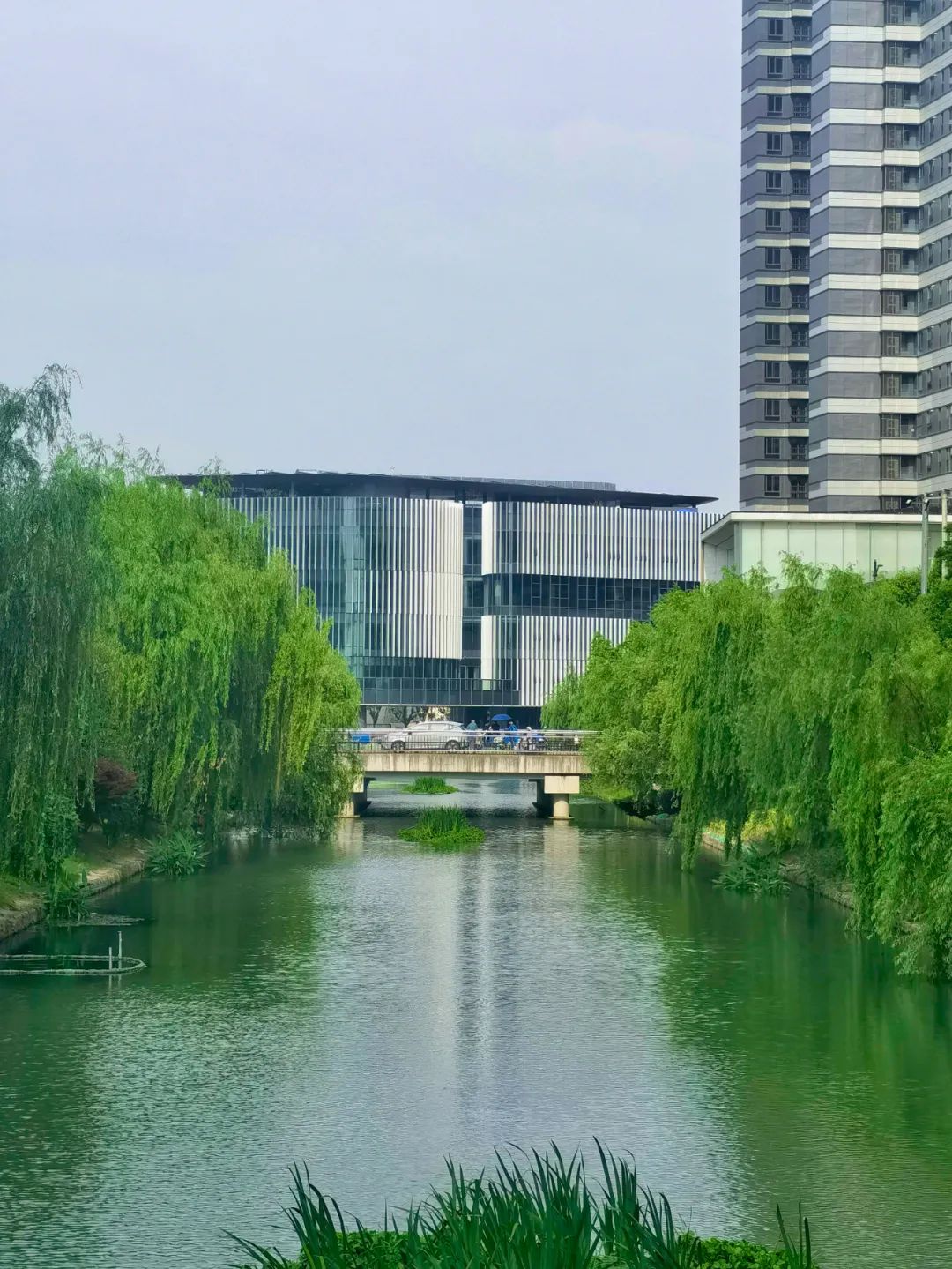 0605_075808_751.jpg 0605_075808_751.jpg