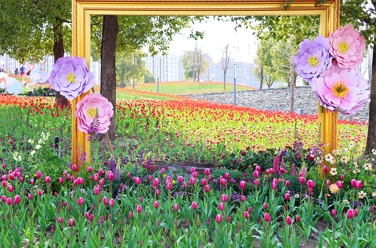 桃浦中央公园 郁金香花海