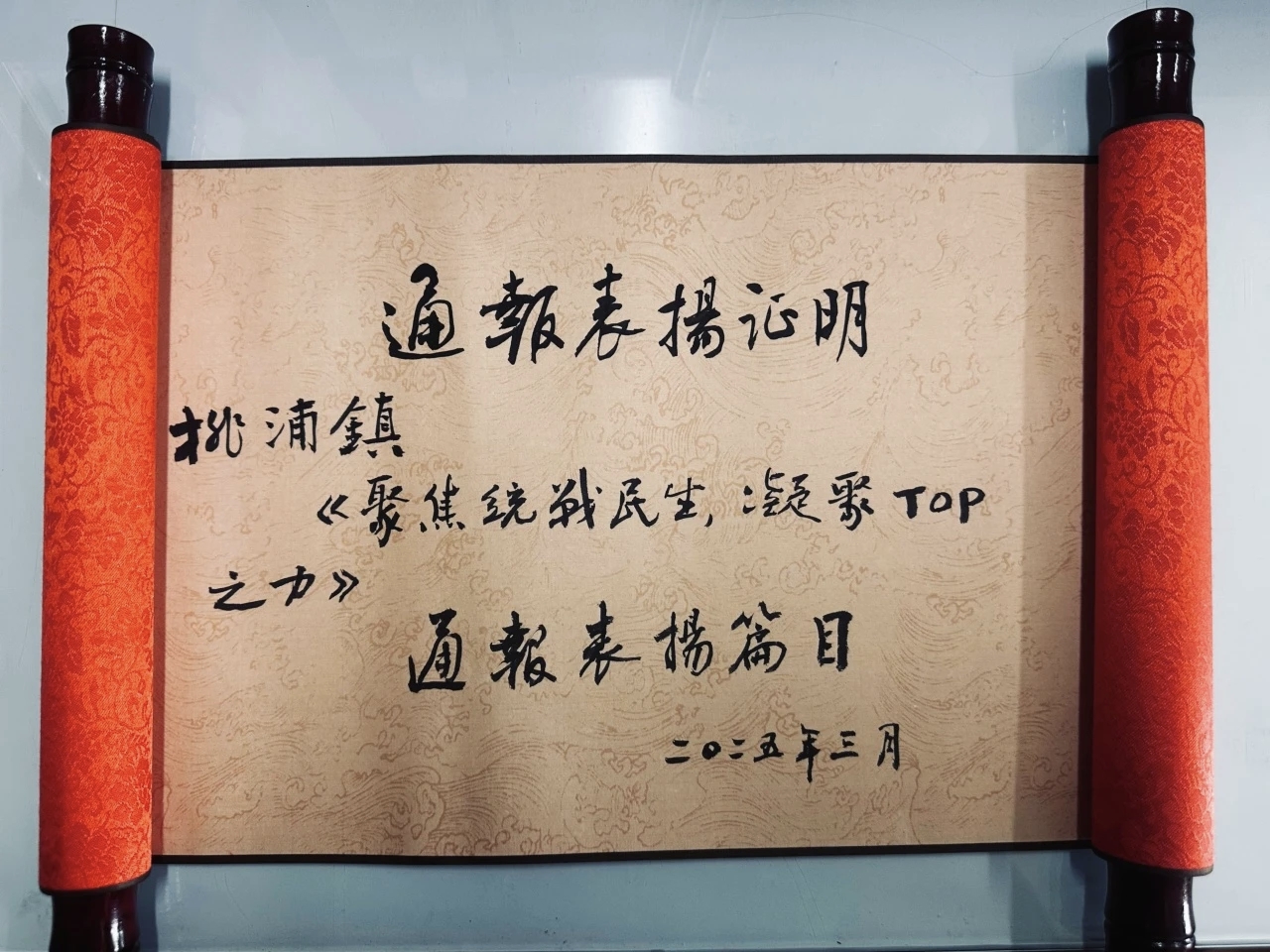 桃浦荣获普陀统一战线民生实事工作优秀案例