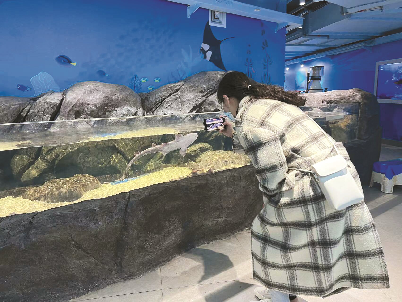 0323_125116_672.jpg 0323_125116_672.jpg