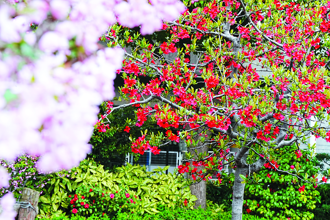 0401_084912_309.png 0401_084912_309.png