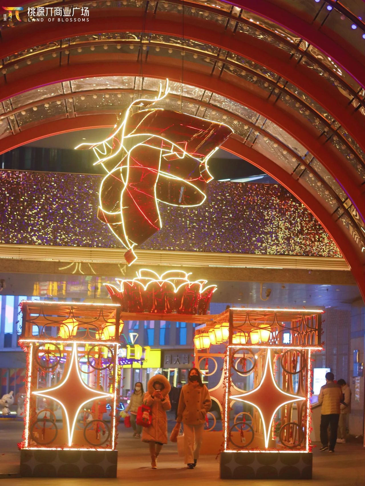 0205_081151_513.jpg 0205_081151_513.jpg