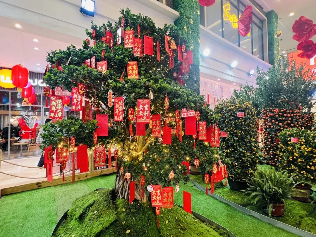 0205_081303_853.jpg 0205_081303_853.jpg