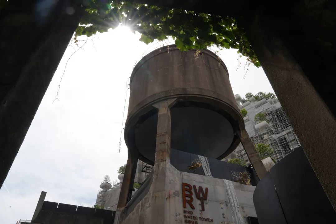 0514_081121_222.jpg 0514_081121_222.jpg