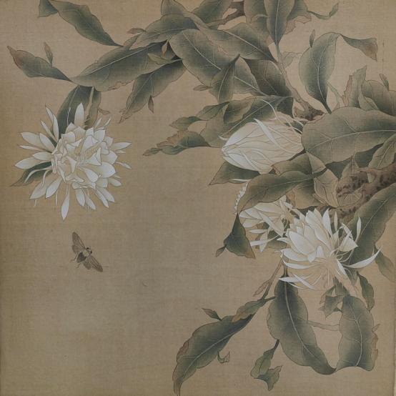 0116_164319_129.jpg 周瀚韬《秋夜小昙》 工笔花鸟.jpg