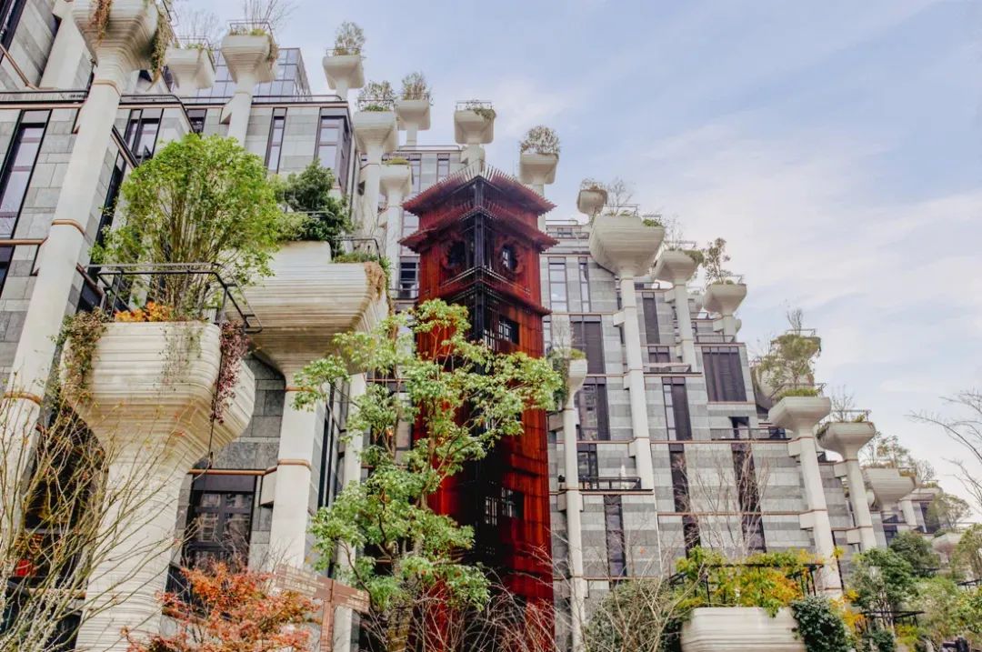 0523_173230_273.jpg 2.jpg