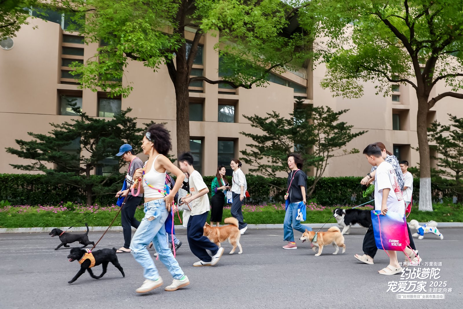 世界城市日0