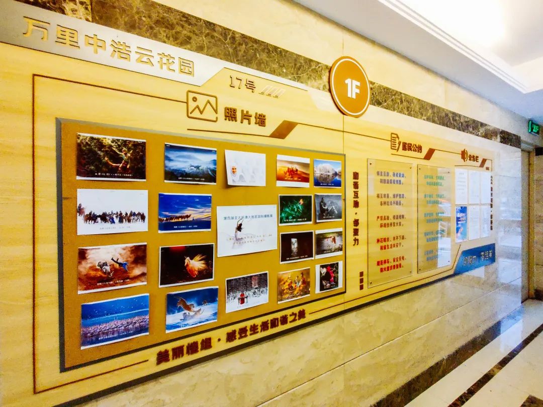 0109_130321_374.jpg 0109_130321_374.jpg