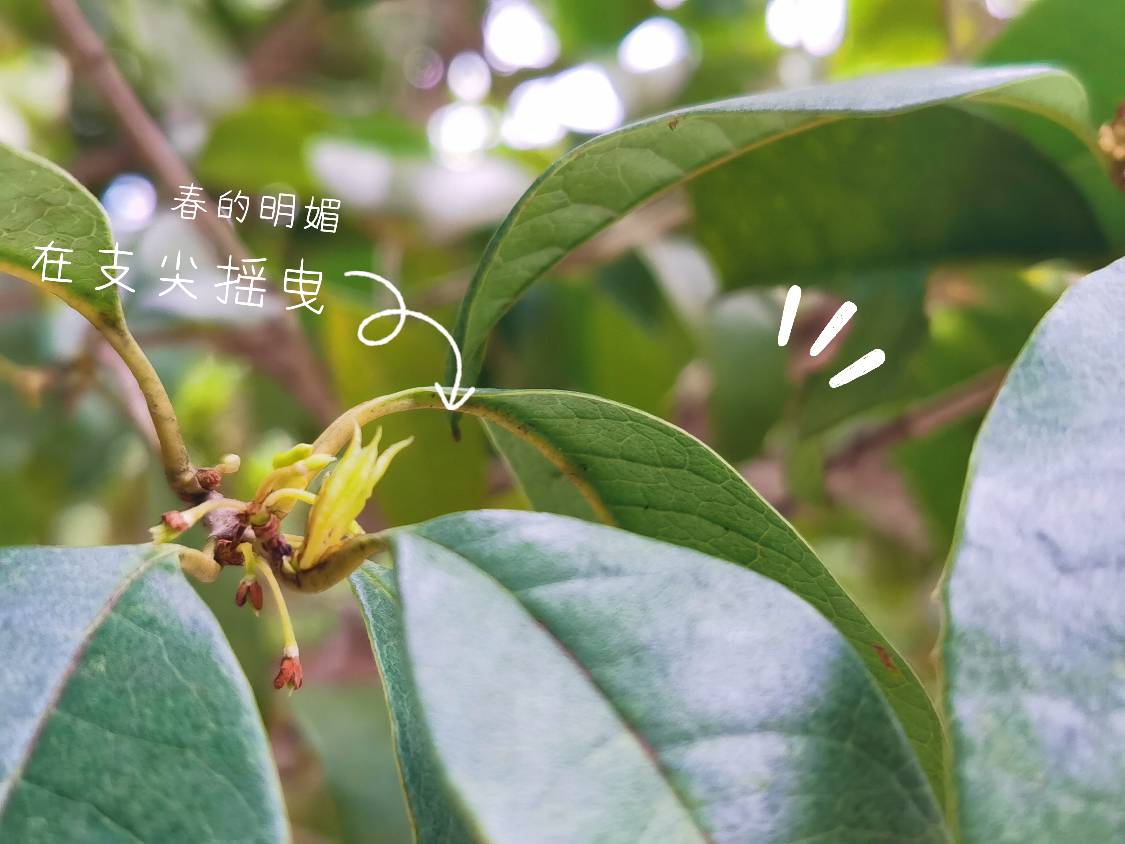 0207_142542_369.jpg 0207_142542_369.jpg