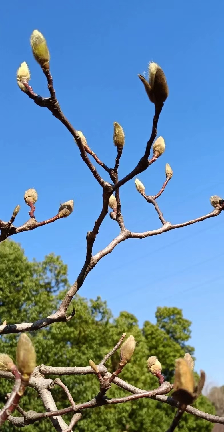 0207_142646_958.jpg 0207_142646_958.jpg