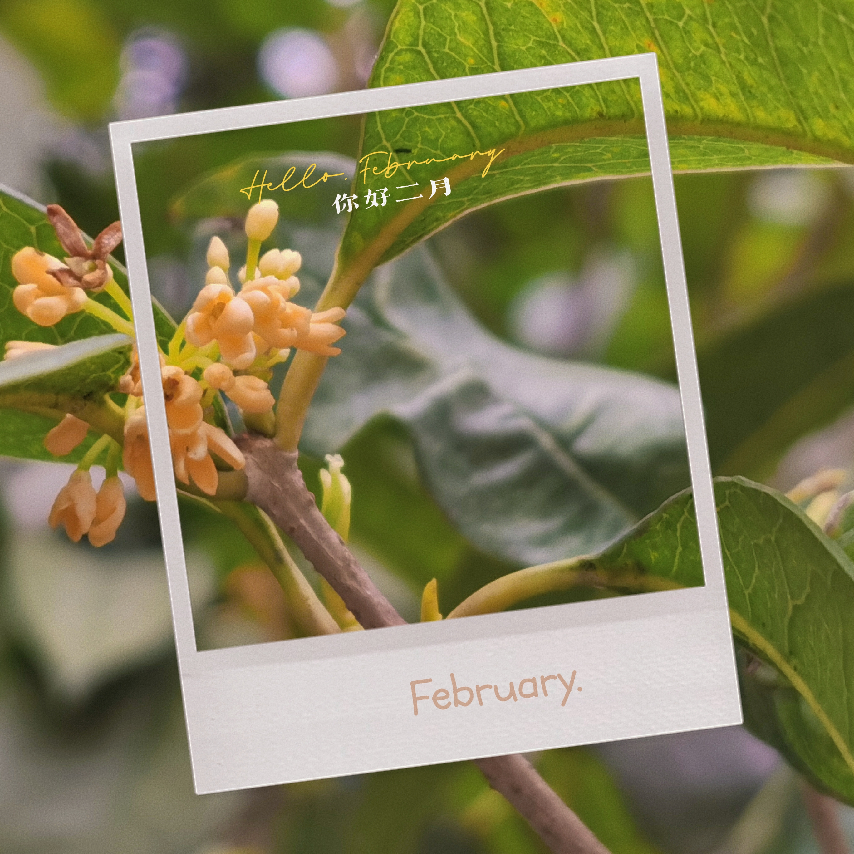 0207_142543_962.jpg 0207_142543_962.jpg